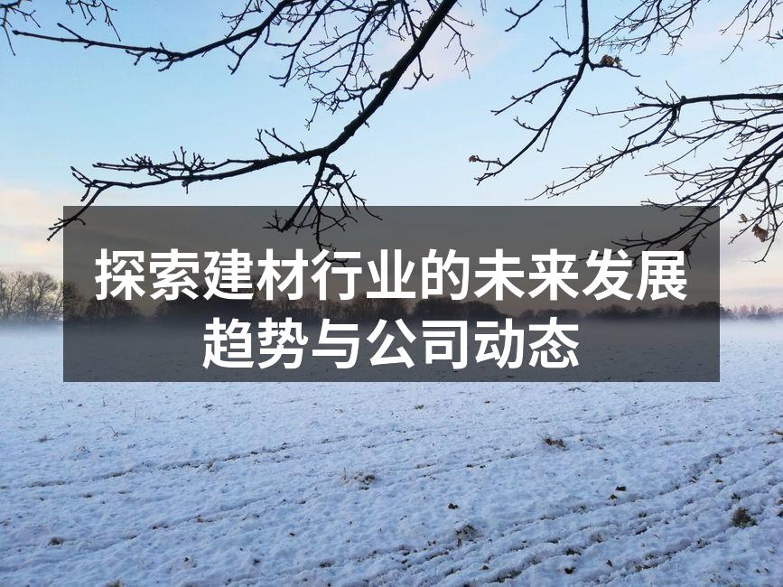 探索建材行业的未来发展趋势与公司动态